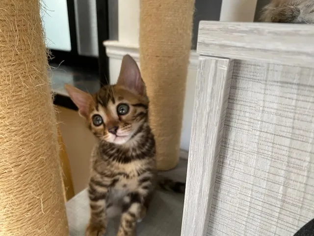 可愛いお顔のベニちゃん💓